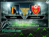 เบลเยียม vs มอนเตเนโกร