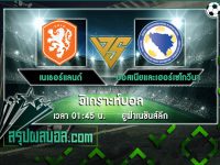 เนเธอร์แลนด์ vs บอสเนียและเฮอร์เซโกวีนา